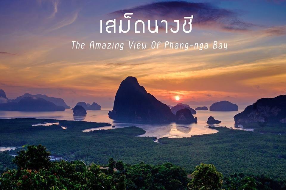 เสม็ดนางชี